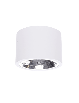 Light Prestige Camino oprawa natynkowa biała LP-1101/1SM WH 1xQR111 biały
