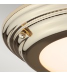 Hermetic plafonds - Elstead WELLAND LED Plafond 1x25W IP54 Brass WELLAND-F-PB - product 2