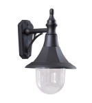 Outdoor wall lamps - Elstead SHANNON Wall lamp E27 1x100W IP44 Black SHANNON-DOWN - product 1