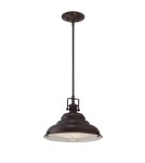 Pendant lamps - Quoizel EASTVALE 1x60W E27 QZ/EASTVALE/P/M Pendant. - product 1