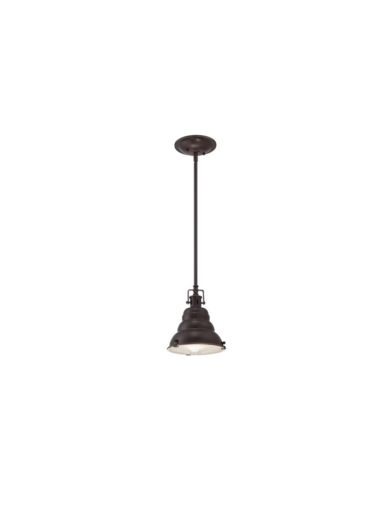 Pendant lamps - Quoizel EASTVALE 1x60W E27 QZ/EASTVALE/P/S Pendant. - product kolory-swiatla.pl 1