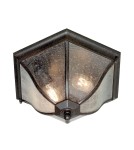 Outdoor ceiling lamps - Elstead NEW ENGLAND Plafond E27 2x60W IP44 Brown NE8-M. - product 1