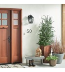 Outdoor wall lamps - Elstead TANGIER Wall lamp E27 1x60W IP44 Antique Bronze KL-TANGIER2-M - product 2