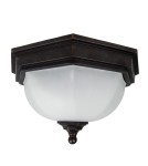 Outdoor ceiling lamps - Elstead FAIRFORD Plafond E27 2x40W IP44 Brown GZH-FF12. - product 1
