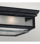 Outdoor ceiling lamps - Elstead SHEPHERD Plafond E27 2x75W IP44 Zinc FE-SHEPHERD-F. - product 3