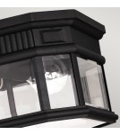 Outdoor ceiling lamps - Elstead COTSWOLD LANE Plafond E27 2x60W IP44 Black FE-COTSLN-F-BK - product 3
