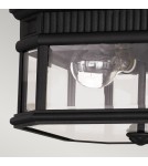 Outdoor ceiling lamps - Elstead COTSWOLD LANE Plafond E27 2x60W IP44 Black FE-COTSLN-F-BK - product 5