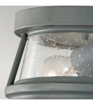 Outdoor ceiling lamps - Elstead CHELSEA HARBOR Plafond E27 2x60W IP44 Graphite FE-CHELSEAHBR-F - product 2