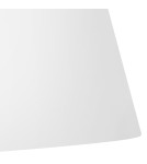 Ceiling lamps - Elstead ASHER Plafond E14 3x60W White FE-ASHER-3F-WHT - product 4
