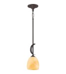 Pendant lamps - Quoizel Salzburg Pendant E27 1xMAX 60W Brown QZS-TST2520C - product 1