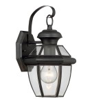 Outdoor wall lamps - Quoizel Brayden Outdoor Wall lamp E27 1xMAX 60W Black QZS-LWS1204B - product 1