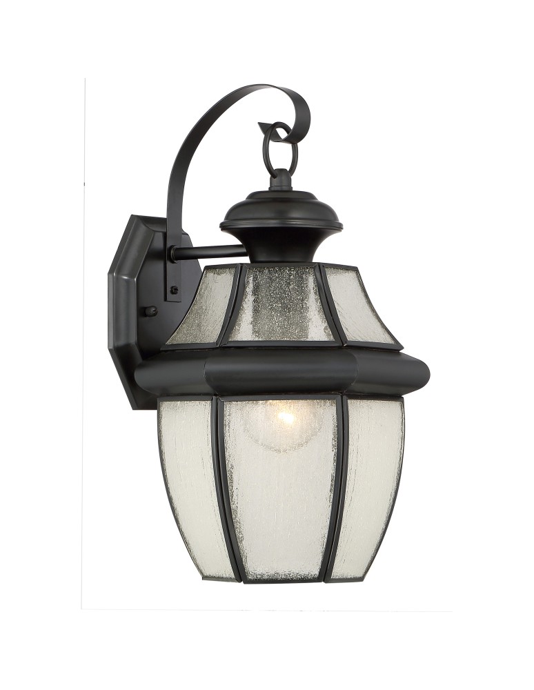 Outdoor wall lamps - Quoizel Newberry Outdoor Wall lamp E27 1xMAX 60W Black QZS-NY8409K - product kolory-swiatla.pl 1