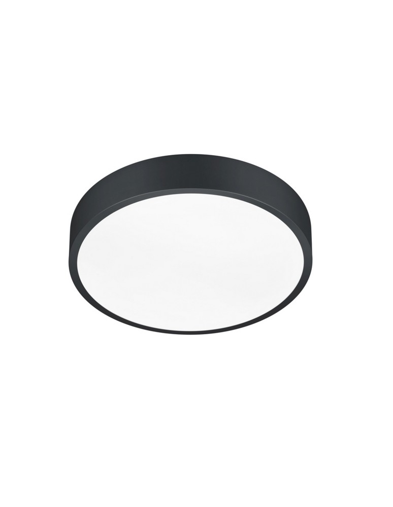 Ceiling lamps - TRIO WACO LED Ceiling 1x28W 2300-4000K 3200lm Dimmable Black 627413032 - product kolory-swiatla.pl 1