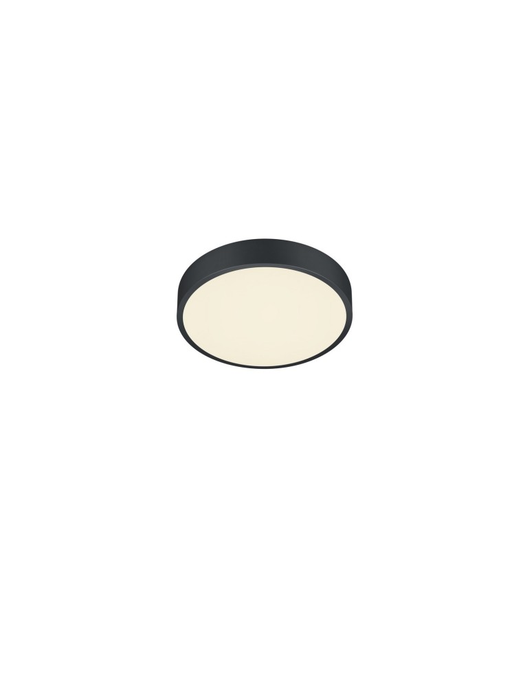 Ceiling lamps - TRIO WACO LED Ceiling 1x28W 2300-4000K 3200lm Dimmable Black 627413032 - product kolory-swiatla.pl 2