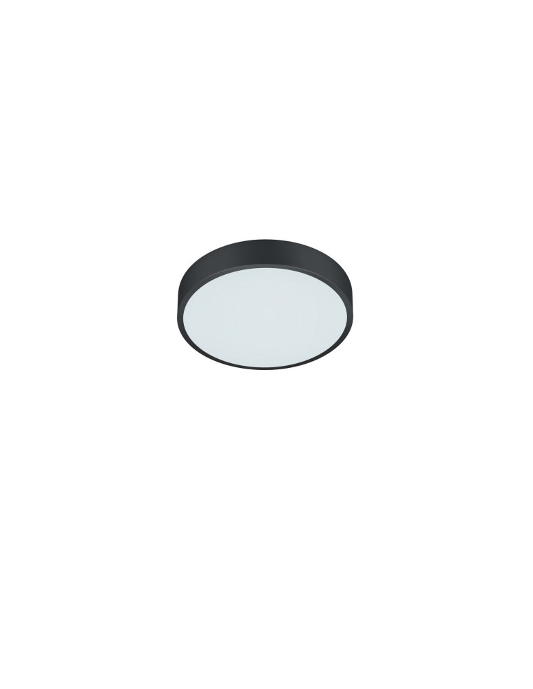 Ceiling lamps - TRIO WACO LED Ceiling 1x28W 2300-4000K 3200lm Dimmable Black 627413032 - product kolory-swiatla.pl 3