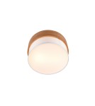 Boho ceiling lamps - TRIO SEASONS Ceiling E14 2x40W Dimmable Silver 611500201 - product 2