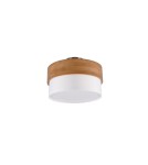 Boho ceiling lamps - TRIO SEASONS Ceiling E14 2x40W Dimmable Silver 611500201 - product 3