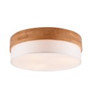 Lampy sufitowe - TRIO SEASONS Sufitowa E27 3x40W Ściemnialna srebrny 611500301 - produkt 1