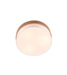 Ceiling lamps - TRIO SEASONS Ceiling E27 3x40W Dimmable Silver 611500301 - product 2