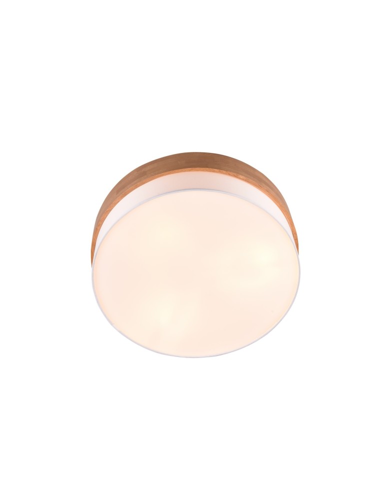 Ceiling lamps - TRIO SEASONS Ceiling E27 3x40W Dimmable Silver 611500301 - product kolory-swiatla.pl 2