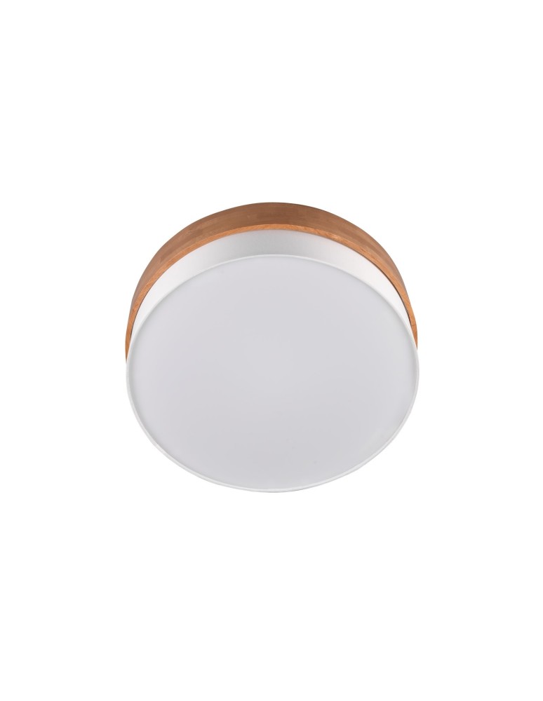 Ceiling lamps - TRIO SEASONS Ceiling E27 3x40W Dimmable Silver 611500301 - product kolory-swiatla.pl 4