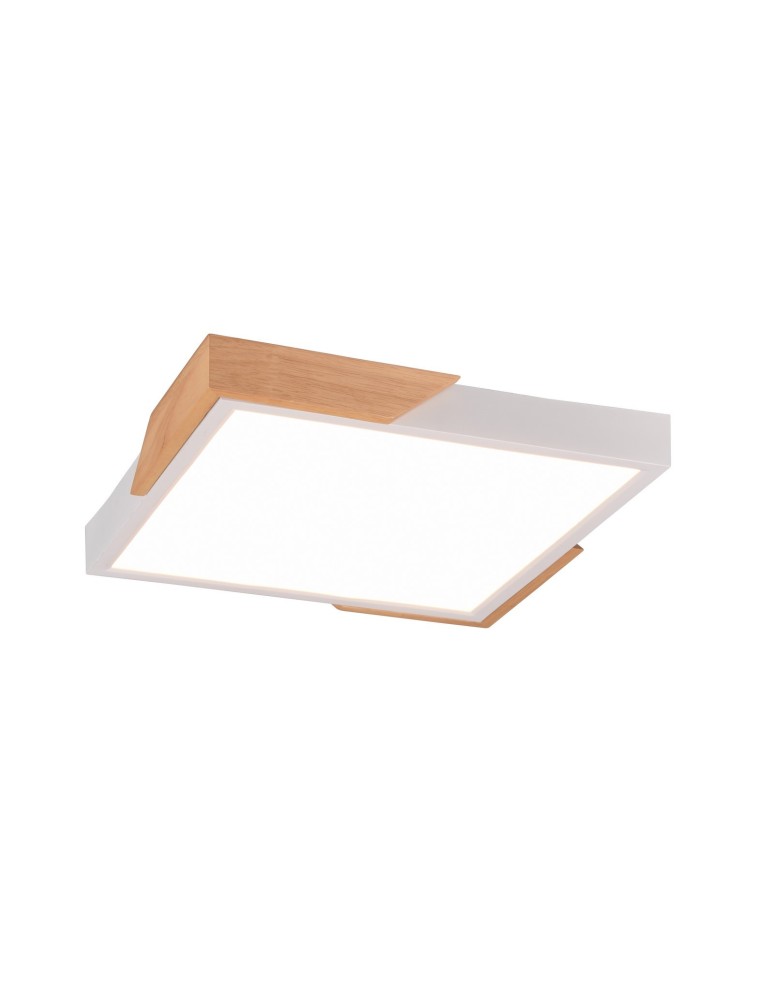 Modern ceiling lamps - TRIO META LED Ceiling 1x20W 3000K 2400lm Dimmable white R67191131 - product kolory-swiatla.pl 1