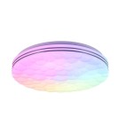 Ceiling lamps - TRIO TIGER LED Ceiling 1x22W 2700 - 6000K 2500lm Dimmable white R67131100 - product 1