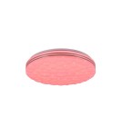 Ceiling lamps - TRIO TIGER LED Ceiling 1x22W 2700 - 6000K 2500lm Dimmable white R67131100 - product 3