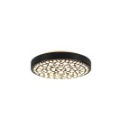 Ceiling lamps - TRIO CHIZU LED Ceiling 1x22W 2700 - 6000K 2500lm Dimmable Black R67161132 - product 2