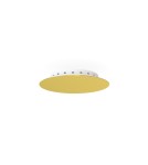 Headliners for lighting systems - Nowodvorski CAMELEON CANOPY A MINI Configurable System CAMELEON Box Max power 40W Gold 10264 - product 1