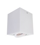 Ceiling luminaires for replaceable light source - ITALUX Emilio Surface-mounted GU10 1x50W White IT8004S1-WH - product 1