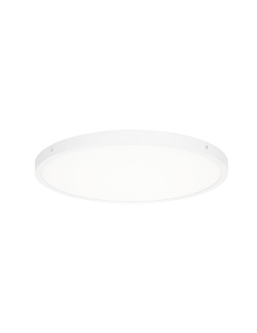 ITALUX Pelaro Plafon LED zintegrowany 36W 4000K 3600lm Biały PLF-7001-500R-WH-4K - produkt 2