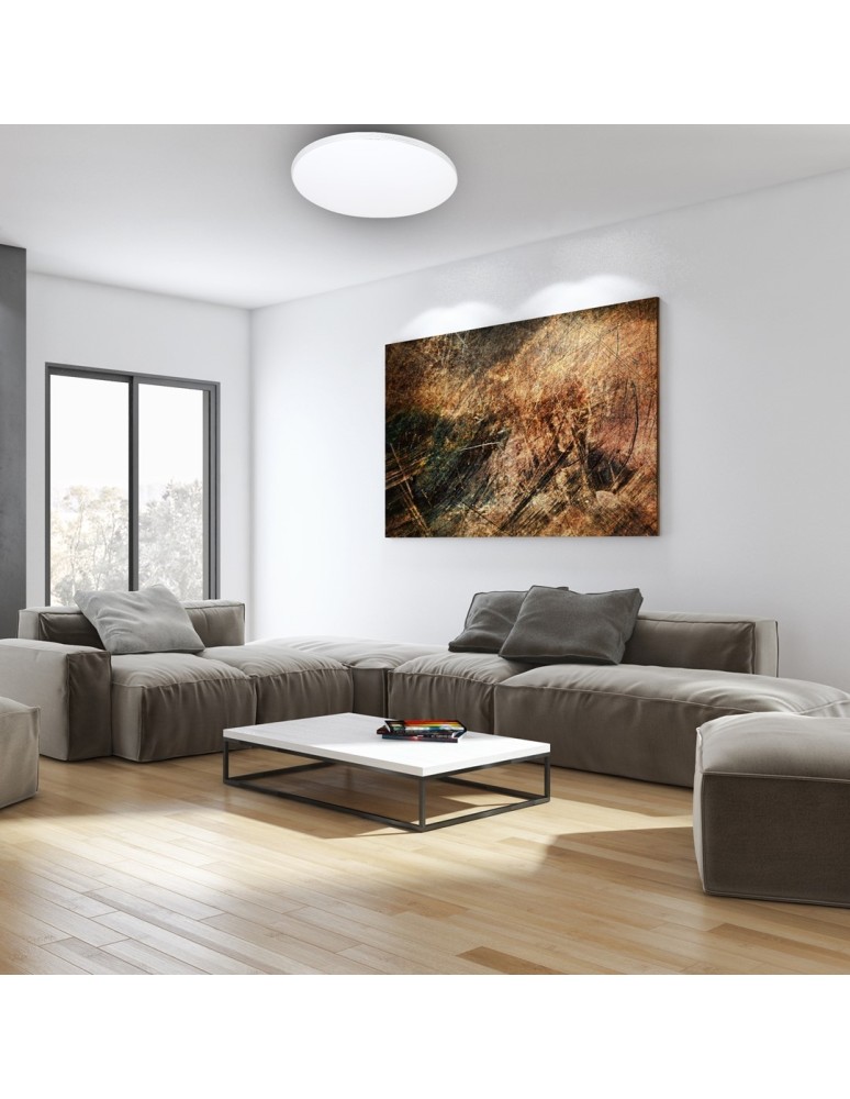 Plafonds with remote control - Milagro Plafon SIENA 72W LED Ø550 mm + remote control ML263 - product kolory-swiatla.pl 3