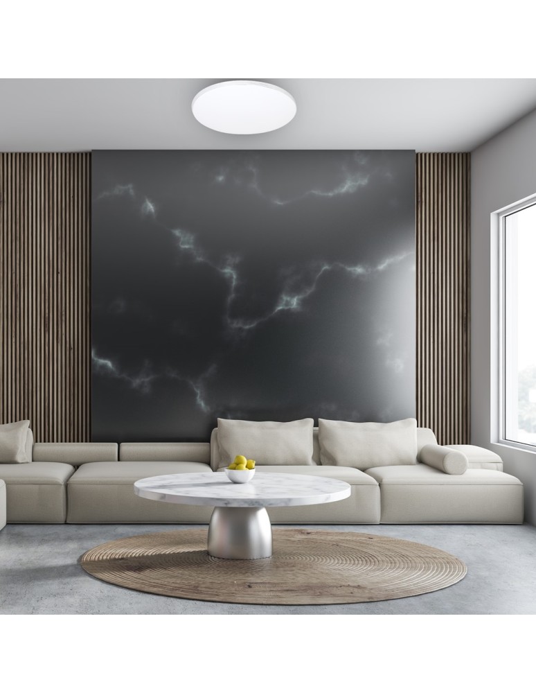 Plafonds with remote control - Milagro Plafon SIENA 72W LED Ø550 mm + remote control ML263 - product kolory-swiatla.pl 5