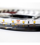 LED monocolor strips - Milagro Tape Pro 60 LED 24W 3000K IP65 5m ML4752 - product 1