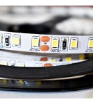 LED monocolor strips - Milagro Tape Pro 120 LED 48W 6000K IP20 5m ML4753 - product 1