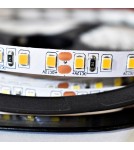 LED monocolor strips - Milagro Tape Pro 120 LED 48W 3000K IP20 5m ML4755 - product 1