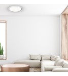 Plafonds with remote control - Milagro Plafon LAYLA 66W LED Ø500mm Dimmable+ Remote Control ML4222 - product 3