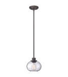 Pendant lamps - Quoizel TRILOGY 1x100W E27 QZ/TRILOGY/MP Pendant. - product 1