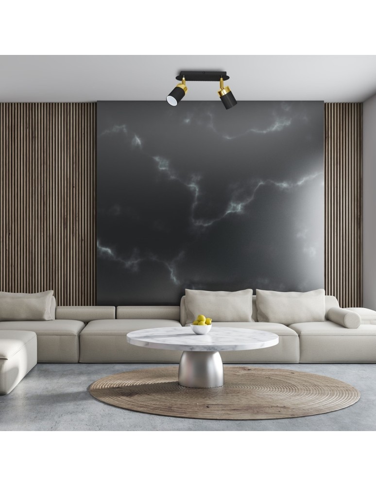 Adjustable ceiling lamps - spots - Milagro JOKER BLACK/GOLD 2xGU10 MLP6124 ceiling lamp. - product kolory-swiatla.pl 4