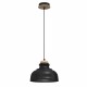 Milagro Lampa wisząca ASMUND BLACK 1xE27 20cm MLP8297
