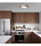 Plafonds with remote control - Milagro Plafond GEA GOLD 36W LED Ø390 mm ML8132 - product 8