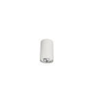 Ceiling luminaires for replaceable light source - Nowodvorski EYE S Spot Surface Max power 1x35W GU10 White 5255 - product 1