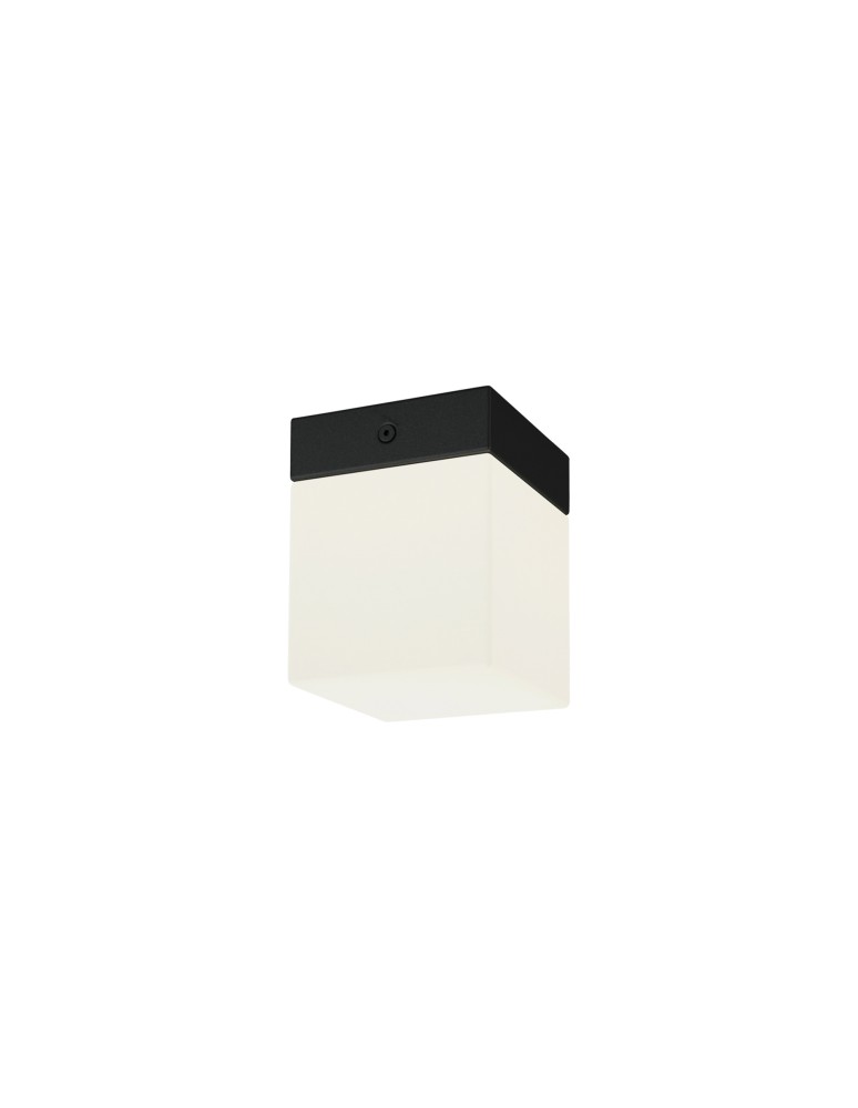 Hermetic plafonds - Nowodvorski SIS Ceiling Plafond Max moc 1x40W G9 IP44 Black 8054 - product kolory-swiatla.pl 1