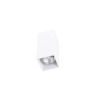 Ceiling luminaires for replaceable light source - Azzardo surface-mounted VELIA SQUARE 2 (white) 2xGU10 white AZ4403 - product 1