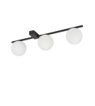 Modern ceiling lamps - Nowodvorski PIK III Ceiling Wall Mount Max power 12W G9 Black 10301 - product 1