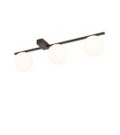 Modern ceiling lamps - Nowodvorski PIK III Ceiling Wall Mount Max power 12W G9 Black 10301 - product 4