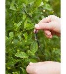 Markslojd GARDEN24 lamps - Markslojd GARDEN 24 LIGHT NET 160L Outdoor Lighting String 160x4W 2700K IP44 black/transparent 108178 - product 2