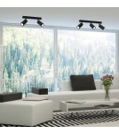 Spotlight ceiling lamps - Milagro HUDSON BLACK 2xGU10 ceiling lamp MLP8795. - product 2