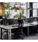 Pendant lamps - Milagro FELIX BLACK/GOLD 1xE27 pendant lamp MLP8906 - product 3